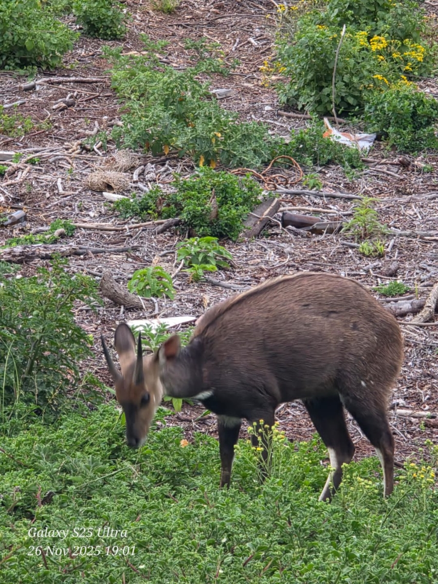 Commercial Property for Sale in Paradise Beach Eastern Cape